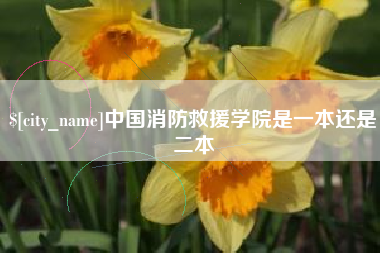 日照中国消防救援学院是一本还是二本