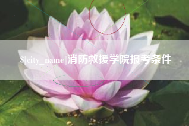 日照消防救援学院报考条件