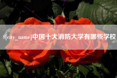 日照中国十大消防大学有哪些学校