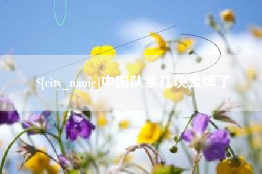 日照中国队拿几块金牌了