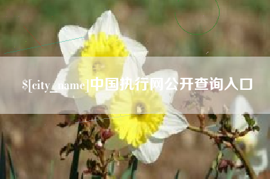 日照中国执行网公开查询入口
