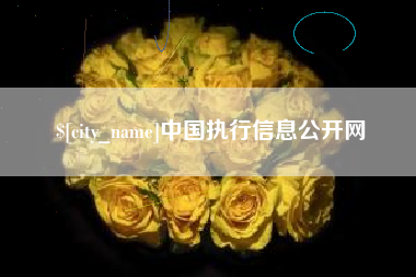 日照中国执行信息公开网