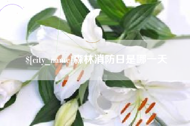 日照森林消防日是哪一天