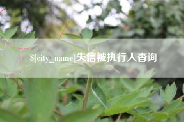 日照失信被执行人杳询