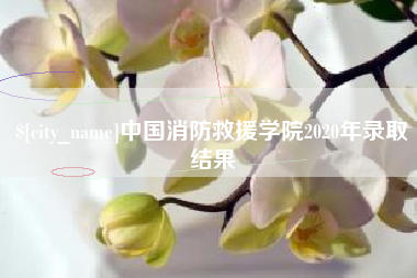 日照中国消防救援学院2020年录取结果