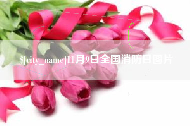 日照11月9日全国消防日图片