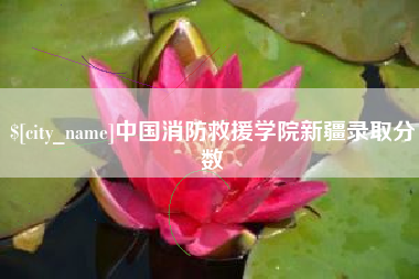 日照中国消防救援学院新疆录取分数