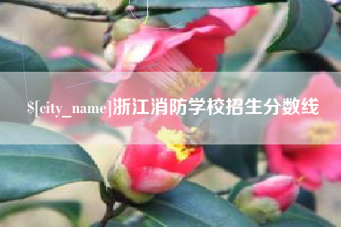 日照浙江消防学校招生分数线