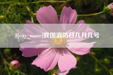 日照我国消防日几月几号
