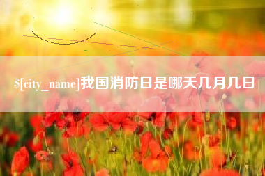 日照我国消防日是哪天几月几日