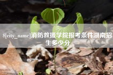 日照消防救援学院报考条件湖南招生多少分