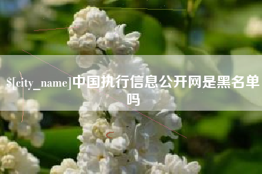 日照中国执行信息公开网是黑名单吗