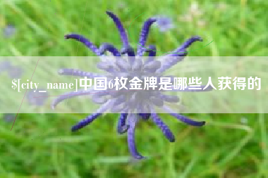 日照中国6枚金牌是哪些人获得的