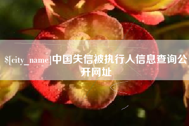 日照中国失信被执行人信息查询公开网址