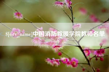 日照中国消防救援学院教师名单