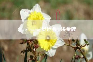 日照奥运会39块金牌