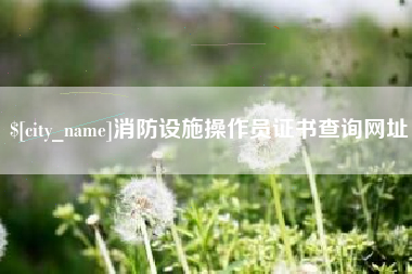 日照消防设施操作员证书查询网址