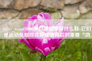 日照5000米世界冠军穿什么鞋-它们是运动员取得优异成绩背后的重要“功臣”