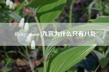 日照九宫为什么只有八卦