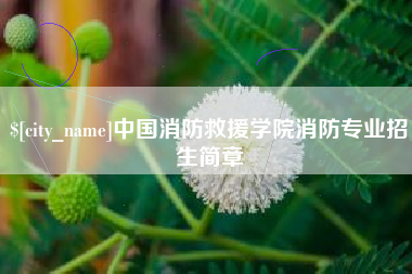 日照中国消防救援学院消防专业招生简章