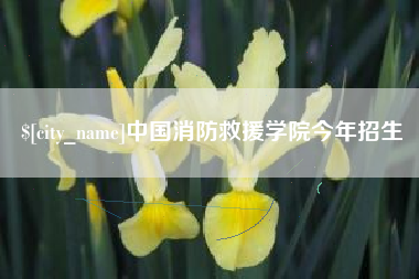 日照中国消防救援学院今年招生