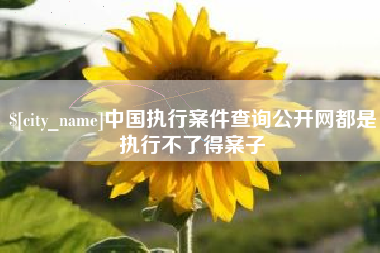日照中国执行案件查询公开网都是执行不了得案子