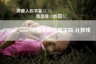 日照中国消防救援学院 分数线