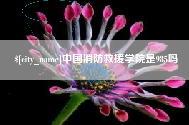 日照中国消防救援学院是985吗