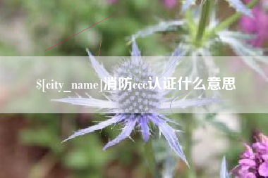 日照消防ccc认证什么意思