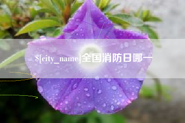 日照全国消防日哪一