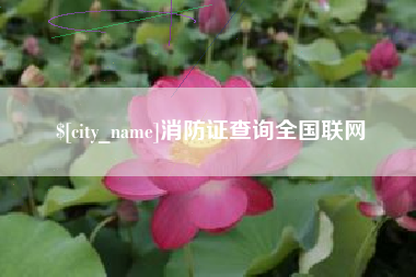 日照消防证查询全国联网