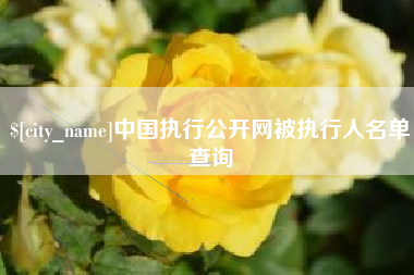 日照中国执行公开网被执行人名单查询