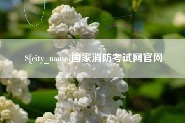 日照国家消防考试网官网