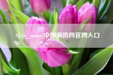 日照中国消防网官网入口