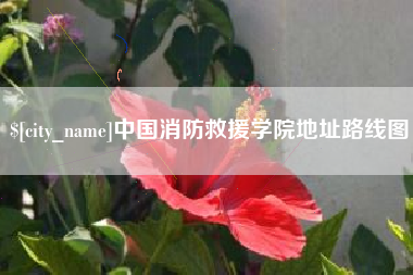 日照中国消防救援学院地址路线图