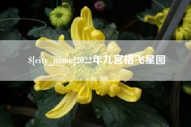 日照2022年九宫格飞星图
