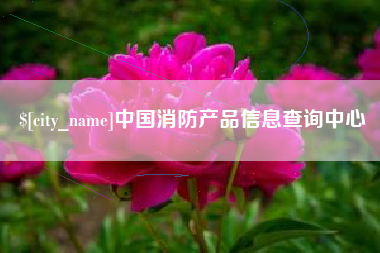 日照中国消防产品信息查询中心