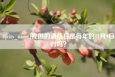 日照我国的消防日是每年的11月9日对吗？