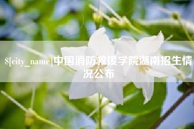 日照中国消防救援学院湖南招生情况公布