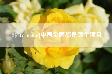 日照中国金牌都是哪个项目