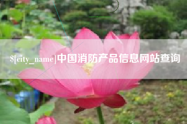 日照中国消防产品信息网站查询