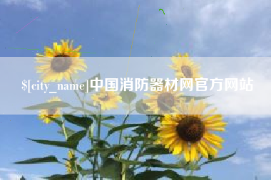 日照中国消防器材网官方网站