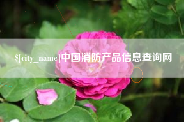 日照中国消防产品信息查询网