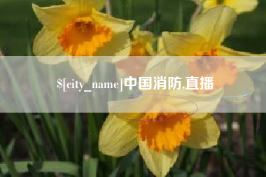 日照中国消防,直播