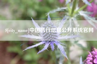 日照中国执行信息公开系统官网
