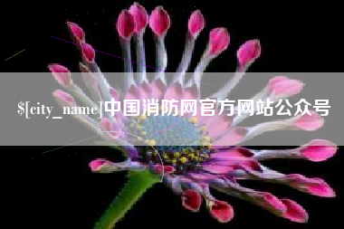 日照中国消防网官方网站公众号
