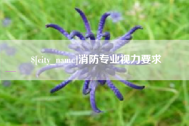 日照消防专业视力要求