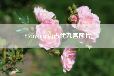 日照古代九宫图片