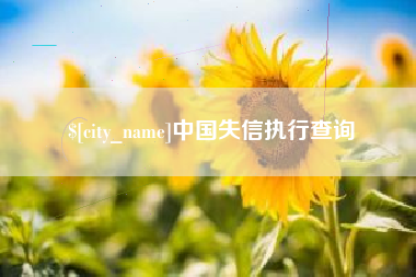 日照中国失信执行查询