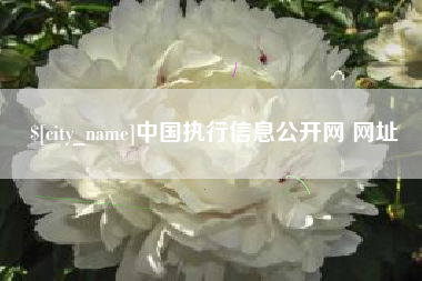 日照中国执行信息公开网 网址